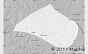 Gray Map of Navirai