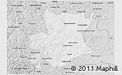Silver Style 3D Map of Carlos Chagas