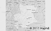 Silver Style Map of Carlos Chagas