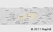 Shaded Relief Panoramic Map of Cordisburgo, desaturated
