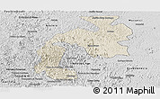 Shaded Relief Panoramic Map of Mantena, desaturated