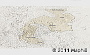 Shaded Relief Panoramic Map of Mantena, lighten