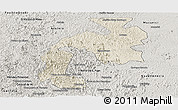 Shaded Relief Panoramic Map of Mantena, semi-desaturated