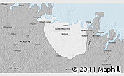 Gray 3D Map of Augusto Correa