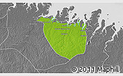 Physical 3D Map of Augusto Correa, desaturated