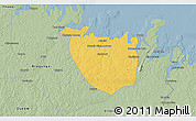 Savanna Style 3D Map of Augusto Correa