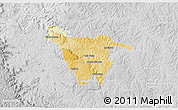 Physical 3D Map of Imbituva, lighten, desaturated