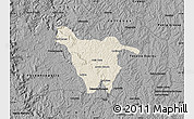 Shaded Relief Map of Imbituva, darken, desaturated