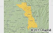 Savanna Style Map of Medianeira