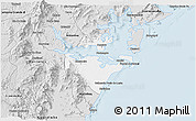 Silver Style 3D Map of Paranagua