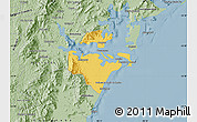 Savanna Style Map of Paranagua