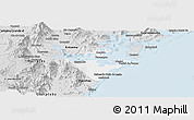 Silver Style Panoramic Map of Paranagua