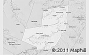 Silver Style 3D Map of Manoel Emilio