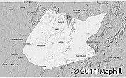 Gray 3D Map of Pedro II