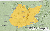 Savanna Style 3D Map of Pedro II