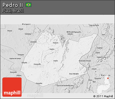 Silver Style 3D Map of Pedro II