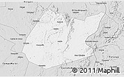 Silver Style 3D Map of Pedro II