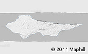 Gray Panoramic Map of Erval, single color outside