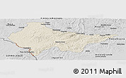 Shaded Relief Panoramic Map of Erval, desaturated