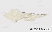 Shaded Relief Panoramic Map of Erval, single color outside