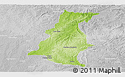 Physical Panoramic Map of Pinheiro Machado, lighten, desaturated