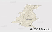 Shaded Relief Panoramic Map of Pinheiro Machado, cropped outside