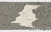 Shaded Relief Panoramic Map of Pinheiro Machado, darken