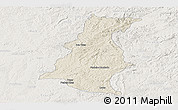 Shaded Relief Panoramic Map of Pinheiro Machado, lighten