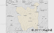 Shaded Relief 3D Map of Rio Pardo, desaturated