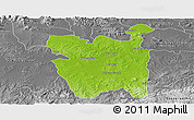 Physical Panoramic Map of Rio Pardo, desaturated