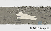 Shaded Relief Panoramic Map of Triunfo, darken