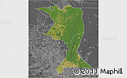 Satellite 3D Map of Machadinho, desaturated