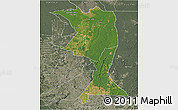 Satellite 3D Map of Machadinho, semi-desaturated
