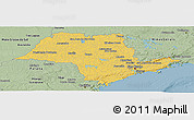 Savanna Style Panoramic Map of Sao Paulo