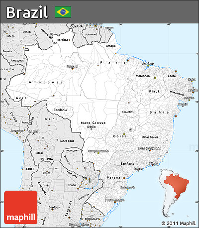 Silver Style Simple Map of Brazil