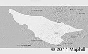 Gray Panoramic Map of Duere