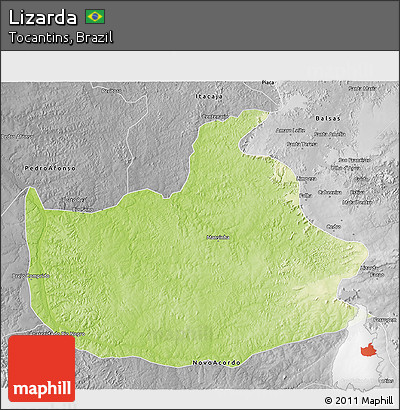 Physical 3D Map of Lizarda, desaturated