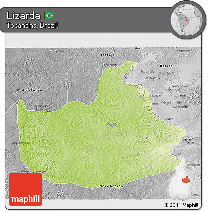 Physical 3D Map of Lizarda, desaturated
