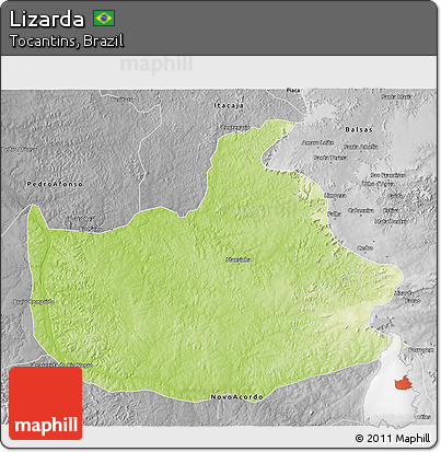 Physical 3D Map of Lizarda, desaturated