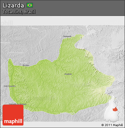 Physical 3D Map of Lizarda, lighten, desaturated