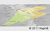 Physical Panoramic Map of P.Alta D'bom Je, desaturated