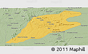 Savanna Style Panoramic Map of P.Alta D'bom Je