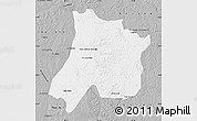 Gray Map of Pedro Afonso
