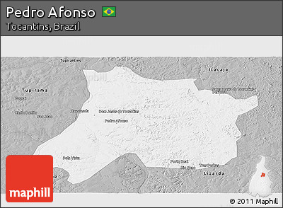 Gray Panoramic Map of Pedro Afonso