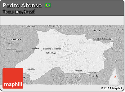 Gray Panoramic Map of Pedro Afonso