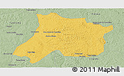 Savanna Style Panoramic Map of Pedro Afonso