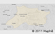 Shaded Relief Panoramic Map of Pedro Afonso, desaturated