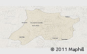 Shaded Relief Panoramic Map of Pedro Afonso, lighten