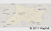 Shaded Relief Panoramic Map of Pedro Afonso, semi-desaturated