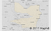 Shaded Relief Panoramic Map of Tocantinopolis, desaturated
